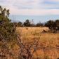 8146 Roper Circle, Williams, AZ 86046 ID:1134384