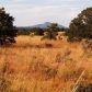 8146 Roper Circle, Williams, AZ 86046 ID:1134386