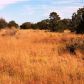 8146 Roper Circle, Williams, AZ 86046 ID:1134388