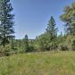 13176 Quail View Pl, Grass Valley, CA 95949 ID:1147505