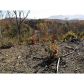 0 Boardtown Road, Ellijay, GA 30540 ID:2792814