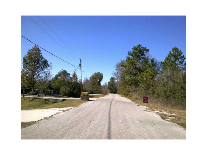 0 Pheasant Run, Wesley Chapel, FL 33544
