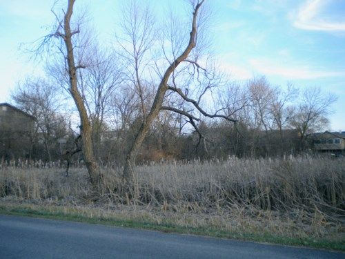 28671 North Washington Avenue, Rutherford College, NC 28671