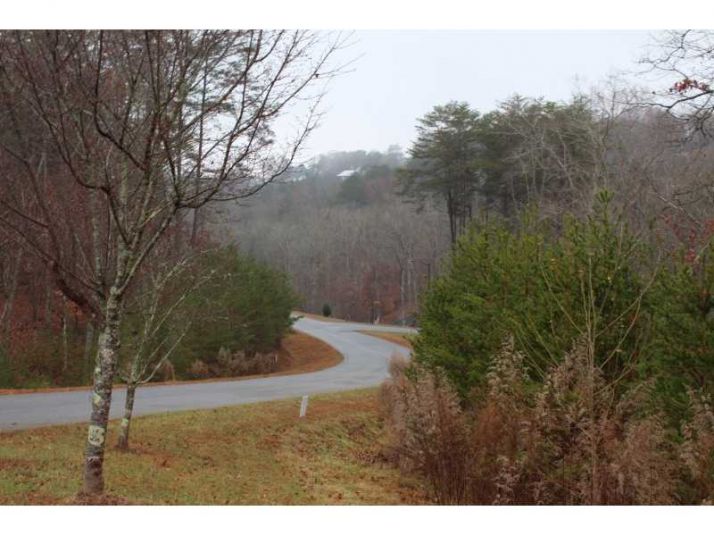 0 Madelyn Anthony Road Lot 42, Dahlonega, GA 30533