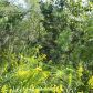 356 Hunnicutt Road, Mableton, GA 30126 ID:5718453