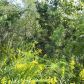 356 Hunnicutt Road, Mableton, GA 30126 ID:5961356
