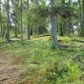 48570 Sonda Road, Nikiski, AK 99635 ID:1079338