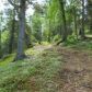 48570 Sonda Road, Nikiski, AK 99635 ID:1079339