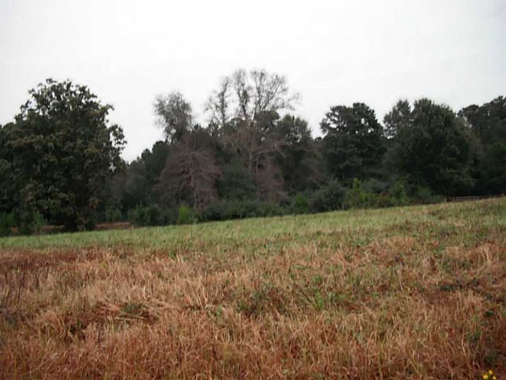 630 Spring View Road, Covington, GA 30014