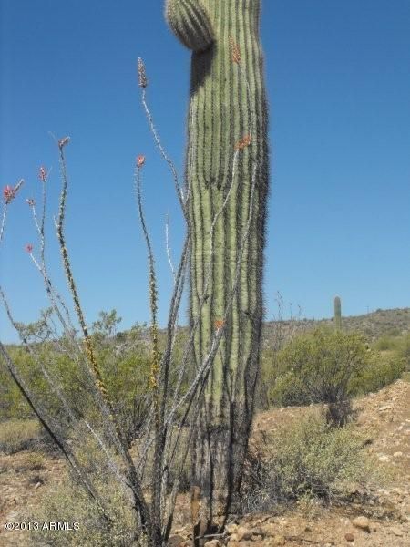 01 S & 04 S EVERETT BOWMAN, Wickenburg, AZ 85390