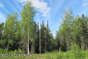 3495 W Coghlan Circle, Wasilla, AK 99654