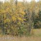3495 W Coghlan Circle, Wasilla, AK 99654 ID:3958039