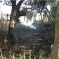2 TOOGOODOO RD, Hollywood, SC 29449 ID:1092469