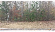 53 Stable Lane Dallas, GA 30132