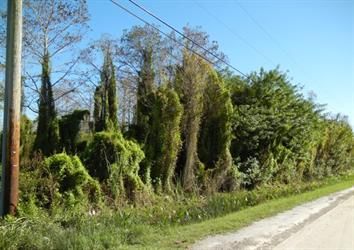 86th Way N, Palm Beach Gardens, FL 33418