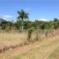 170 AVE, Homestead, FL 33030 ID:5915638