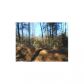 LOT 4 CRYER RD, Leesville, LA 71446 ID:3095380