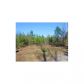 LOT 4 CRYER RD, Leesville, LA 71446 ID:3095383