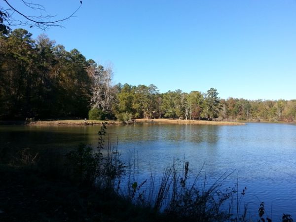 230 Buck Creek Rd, Hawkinsville, GA 31036