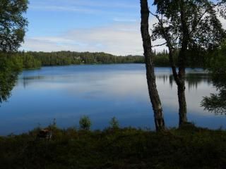 48550 Sondra Road, Nikiski, AK 99635