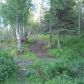 48530 Sondra Road, Nikiski, AK 99635 ID:1079327