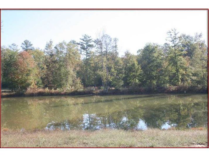 1187 Austin Bridge Drive, Douglasville, GA 30134