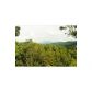 450 Geronimo Road, Blue Ridge, GA 30513 ID:4790774