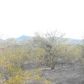 0 W PERCHERON Road, Wickenburg, AZ 85390 ID:1584984