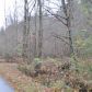 0 Panorama Drive, Sautee Nacoochee, GA 30571 ID:4335384