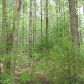 Red Cut Hill Rd Tract 3, Leesville, LA 71446 ID:3096209