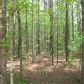 Red Cut Hill Rd Tract 3, Leesville, LA 71446 ID:3096210