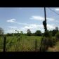 141 Sand Rd, Leesville, LA 71446 ID:3095904