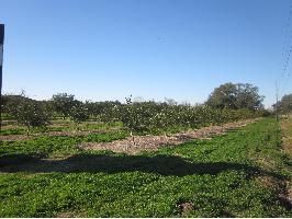 13864 Hwy 23lot c, Belle Chasse, LA 70037