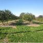13864 Hwy 23lot c, Belle Chasse, LA 70037 ID:1797922