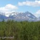 6091 N Canyon Bluff Circle, Palmer, AK 99645 ID:1513907