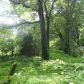 3912 Old Cornelia Highway, Gainesville, GA 30507 ID:5958034