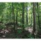 1 Lucas Road, Dallas, GA 30132 ID:2677654