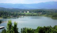 1091 Forest View Drive Hiawassee, GA 30546