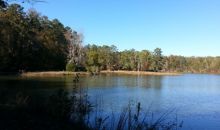 230 Buck Creek Rd Hawkinsville, GA 31036