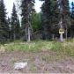 37382 Wanda Gail Street, Soldotna, AK 99669 ID:1081310