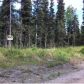 37382 Wanda Gail Street, Soldotna, AK 99669 ID:1081311