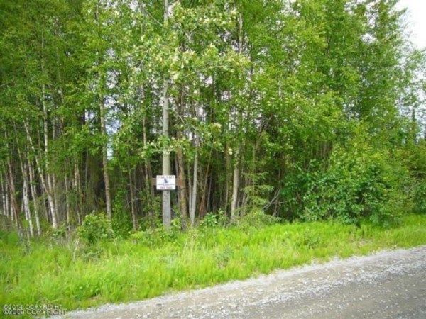 43680 Ross Drive, Soldotna, AK 99669