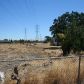 3640 French Camp Turnpike Rd, Stockton, CA 95206 ID:1143212