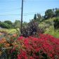 1067 W. 27th St., San Pedro, CA 90731 ID:1911029