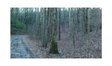 19 Amicalola Woods Dahlonega, GA 30533
