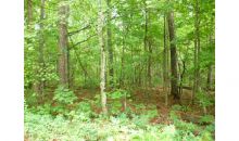 0 Douthit Bridge Road Dallas, GA 30132