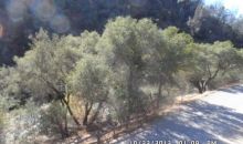 11202 Bull Creek Rd Mariposa, CA 95338