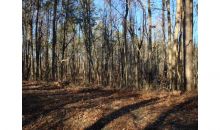 0 Douthit Bridge Road Cartersville, GA 30121
