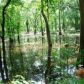 Old Lock 8 Road, El Dorado, AR 71730 ID:1304987