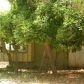 27935 W Winding Way, Malibu, CA 90265 ID:1868729